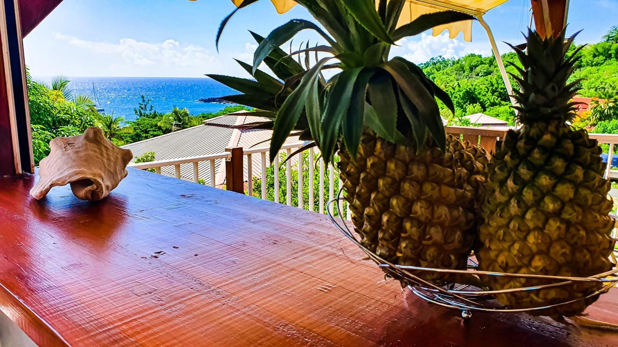 Bungalow Enchanteur A Bouillante Avec Vue Sur La Mer Villa Esterno foto