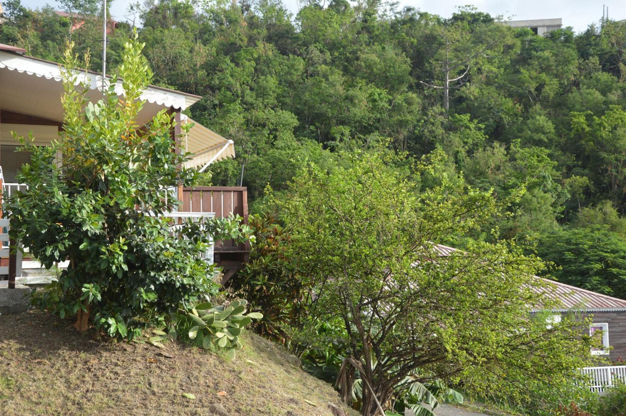 Bungalow Enchanteur A Bouillante Avec Vue Sur La Mer Villa Esterno foto